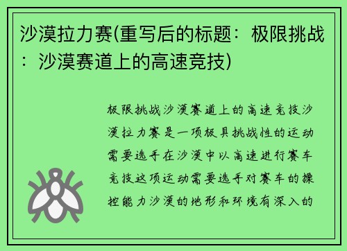 沙漠拉力赛(重写后的标题：极限挑战：沙漠赛道上的高速竞技)